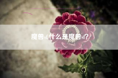 魔兽sf,什么是魔兽sf？