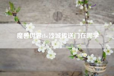 魔兽世界tbc沙城传送门在哪学
