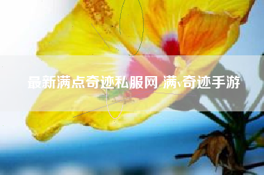 最新满点奇迹私服网 满v奇迹手游