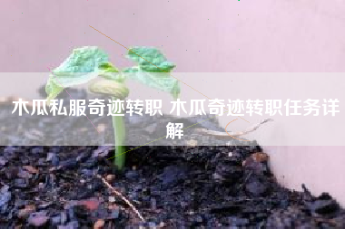 木瓜私服奇迹转职 木瓜奇迹转职任务详解