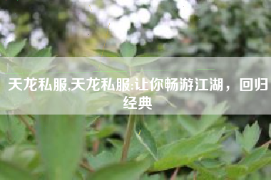 天龙私服,天龙私服:让你畅游江湖，回归经典
