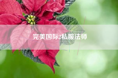 完美国际2私服法师