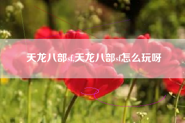 天龙八部sf,天龙八部sf怎么玩呀