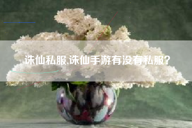 诛仙私服,诛仙手游有没有私服？