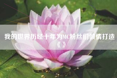 我的世界历经十年为MC粉丝们倾情打造《》