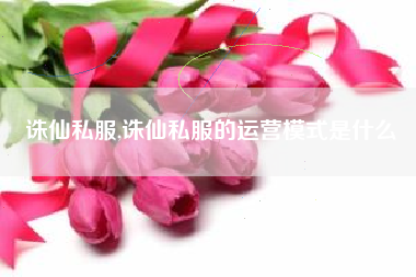 诛仙私服,诛仙私服的运营模式是什么