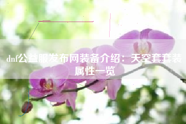 dnf公益服发布网装备介绍：天空套套装属性一览
