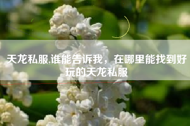 天龙私服,谁能告诉我，在哪里能找到好玩的天龙私服