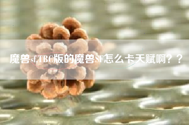 魔兽sf,TBC版的魔兽SF怎么卡天赋啊？？