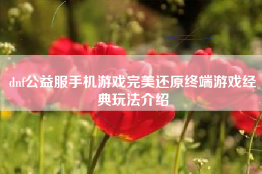 dnf公益服手机游戏完美还原终端游戏经典玩法介绍