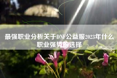 最强职业分析关于DNF公益服2023年什么职业强势的选择