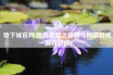 地下城官网 热血冒险之旅格斗网络游戏游戏打怪