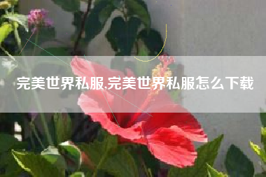 完美世界私服,完美世界私服怎么下载