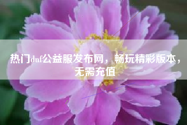 热门dnf公益服发布网，畅玩精彩版本，无需充值