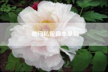 蜀门私服脚本录制