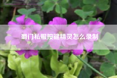 蜀门私服按键精灵怎么录制