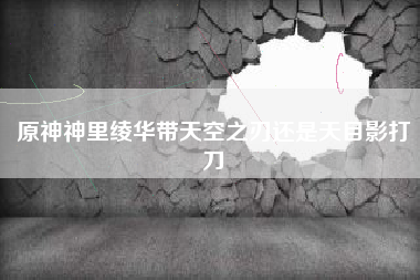 原神神里绫华带天空之刃还是天目影打刀