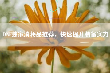 DNF独家消耗品推荐，快速提升装备实力