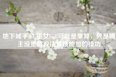 地下城手游 巫女buff可能是乘算，只是博主没觉醒没法算技能加的技功