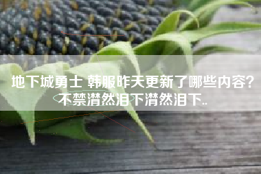 地下城勇士 韩服昨天更新了哪些内容？不禁潸然泪下潸然泪下..
