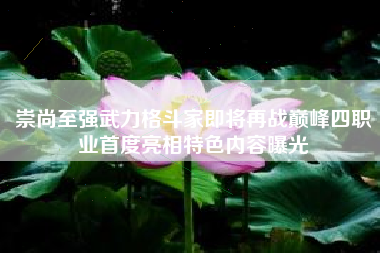 崇尚至强武力格斗家即将再战巅峰四职业首度亮相特色内容曝光