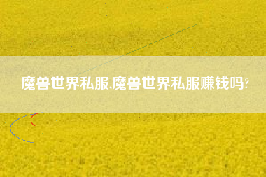 魔兽世界私服,魔兽世界私服赚钱吗?