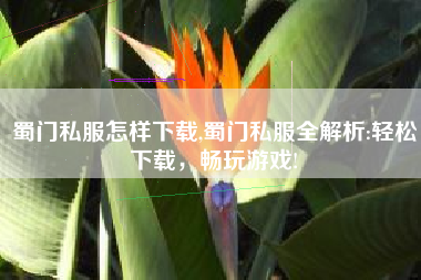 蜀门私服怎样下载,蜀门私服全解析:轻松下载，畅玩游戏!