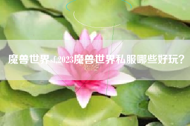 魔兽世界sf,2023魔兽世界私服哪些好玩？