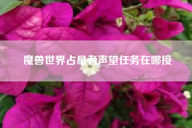 魔兽世界占星者声望任务在哪接