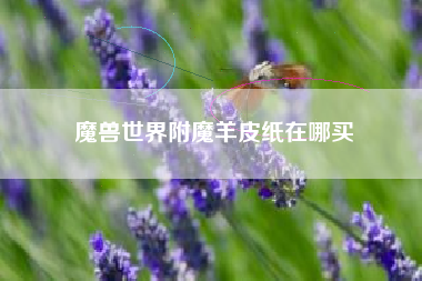 魔兽世界附魔羊皮纸在哪买