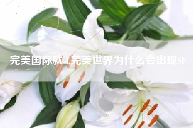 完美国际就sf,完美世界为什么会出现SF