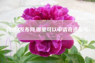 奇迹sf发布网,哪里可以申请奇迹帐号?