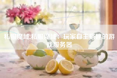 私服魔域,私服魔域：玩家自主搭建的游戏服务器
