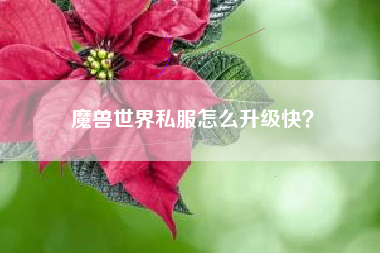 魔兽世界私服怎么升级快？