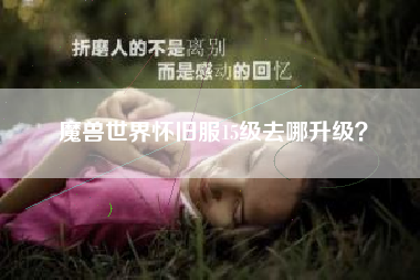 魔兽世界怀旧服15级去哪升级？