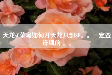 天龙sf,菜鸟如何开天龙八部SF。。一定要详细的 。。