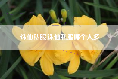 诛仙私服,诛仙私服哪个人多