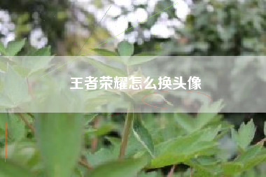 王者荣耀怎么换头像