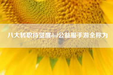 八大转职待觉醒dnf公益服手游全称为