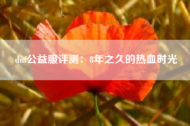 dnf公益服评测：8年之久的热血时光