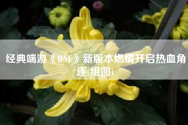 经典端游《DNF》新版本燃情开启热血角逐(组图)