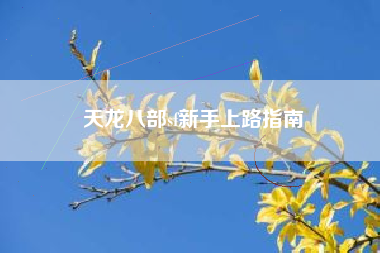 天龙八部sf新手上路指南