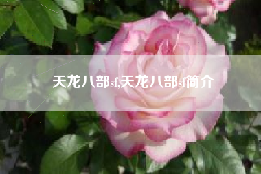 天龙八部sf,天龙八部sf简介