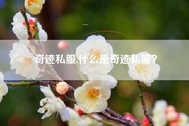 奇迹私服,什么是奇迹私服？
