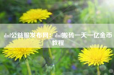 dnf公益服发布网：dnf搬砖一天一亿金币教程