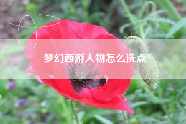 梦幻西游人物怎么洗点