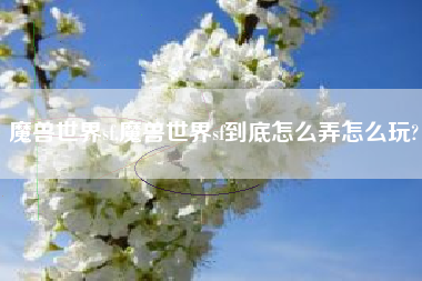 魔兽世界sf,魔兽世界sf到底怎么弄怎么玩?