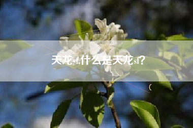 天龙sf,什么是天龙sf？