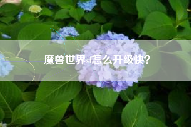 魔兽世界sf怎么升级快？