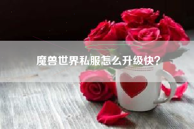魔兽世界私服怎么升级快？